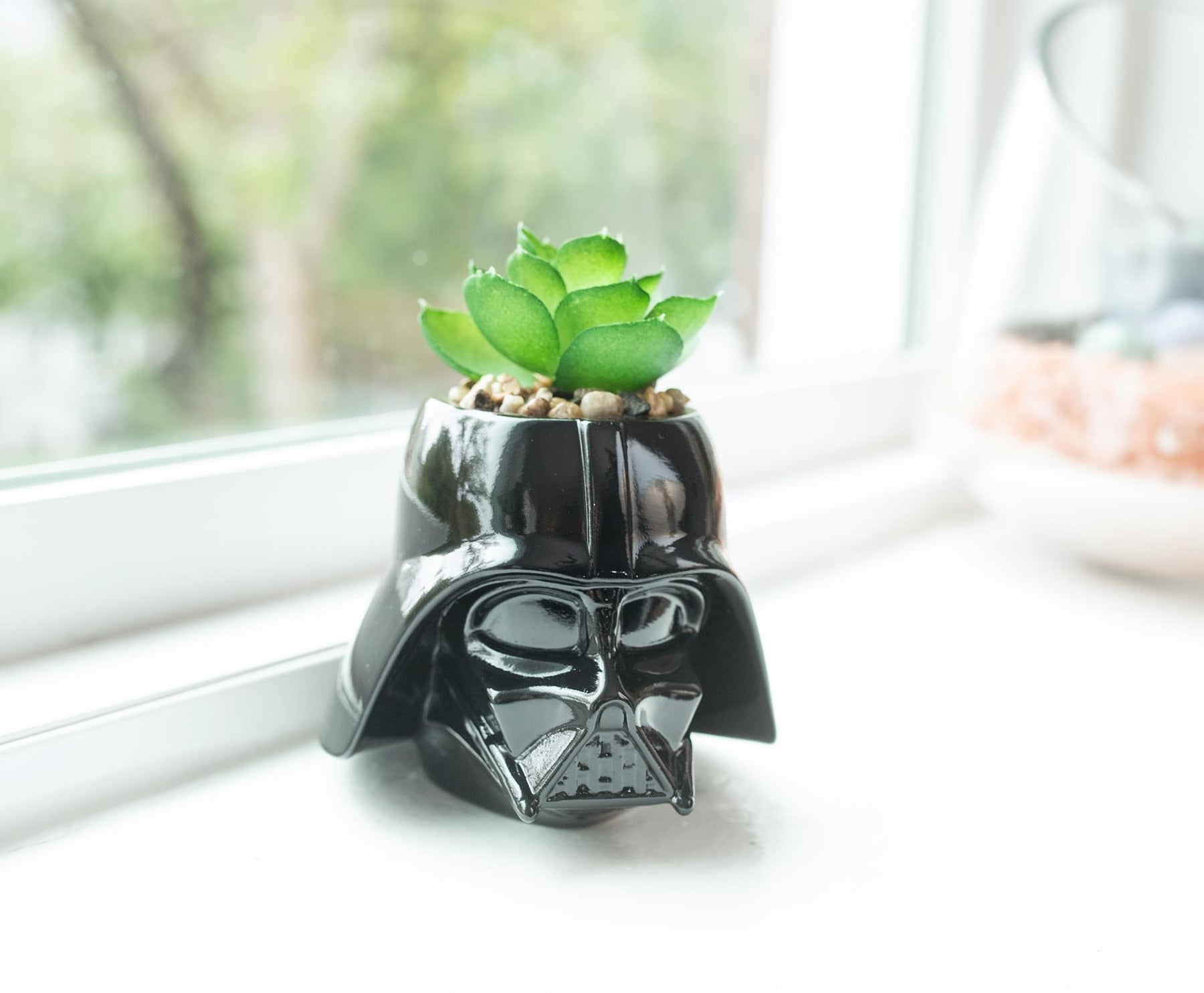 Star Wars Darth Vader 3-Inch Ceramic Mini Planter with Artificial Succulent