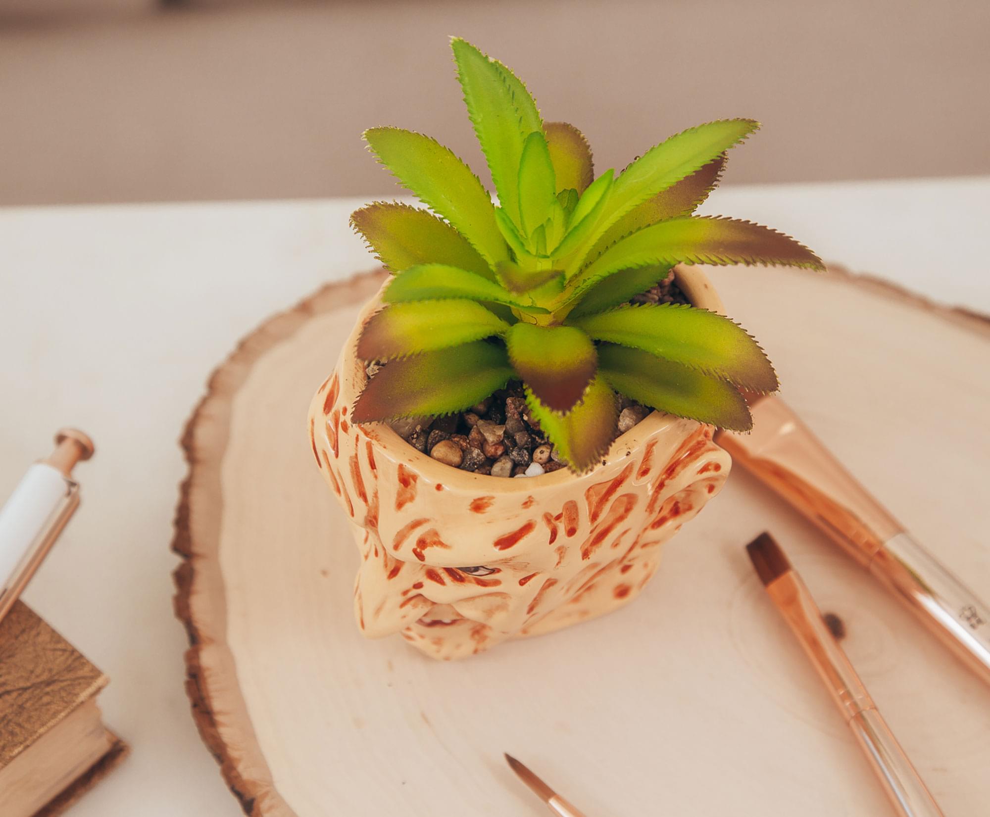 A Nightmare On Elm Street Freddy Krueger Ceramic Planter w/ Artificial Succulent