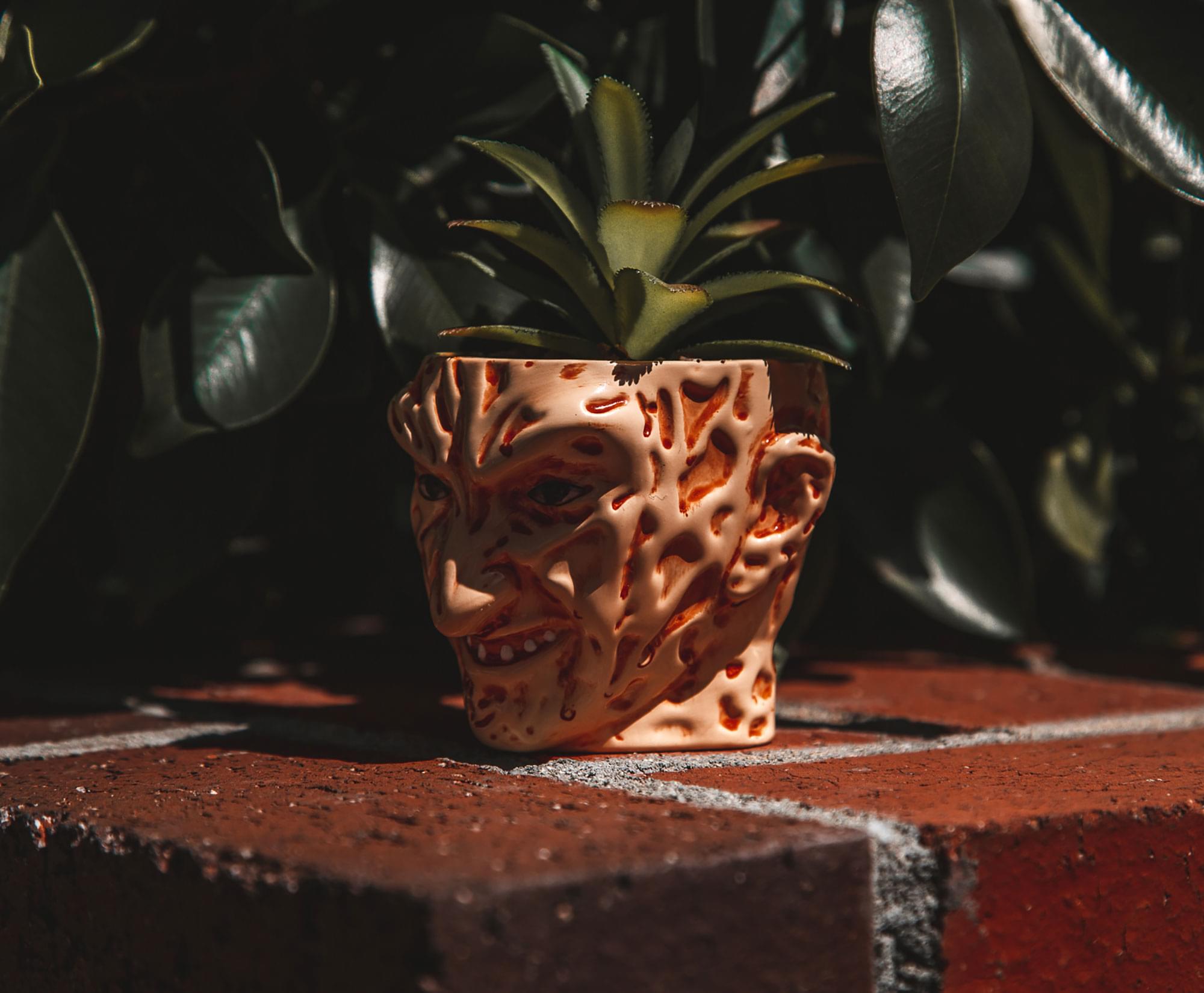 A Nightmare On Elm Street Freddy Krueger Ceramic Planter w/ Artificial Succulent