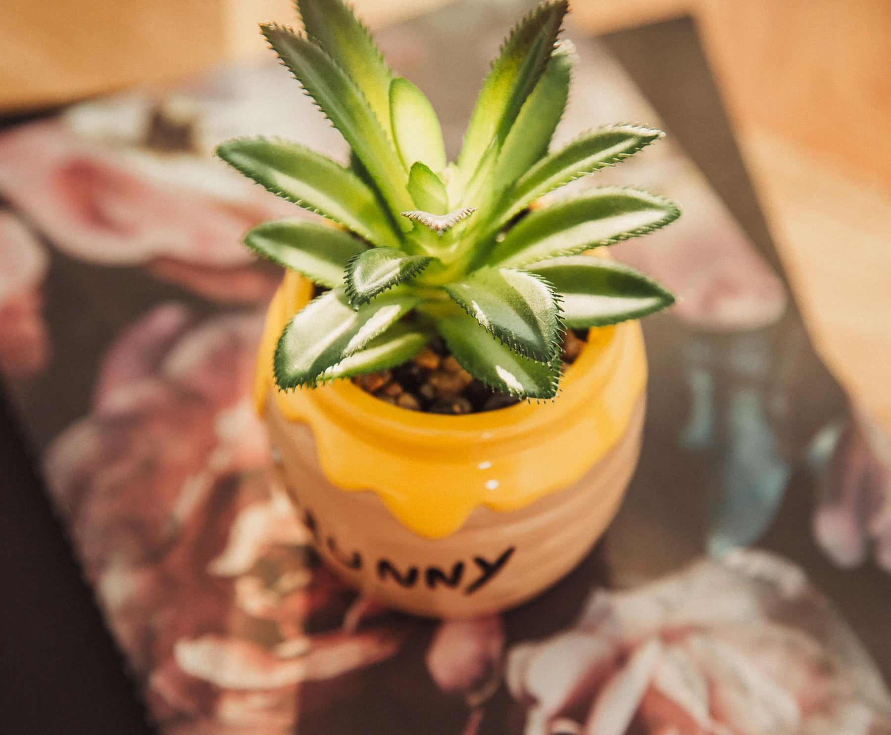 Disney Winnie The Pooh Hunny Pot Ceramic Mini Planter with Artificial Succulent