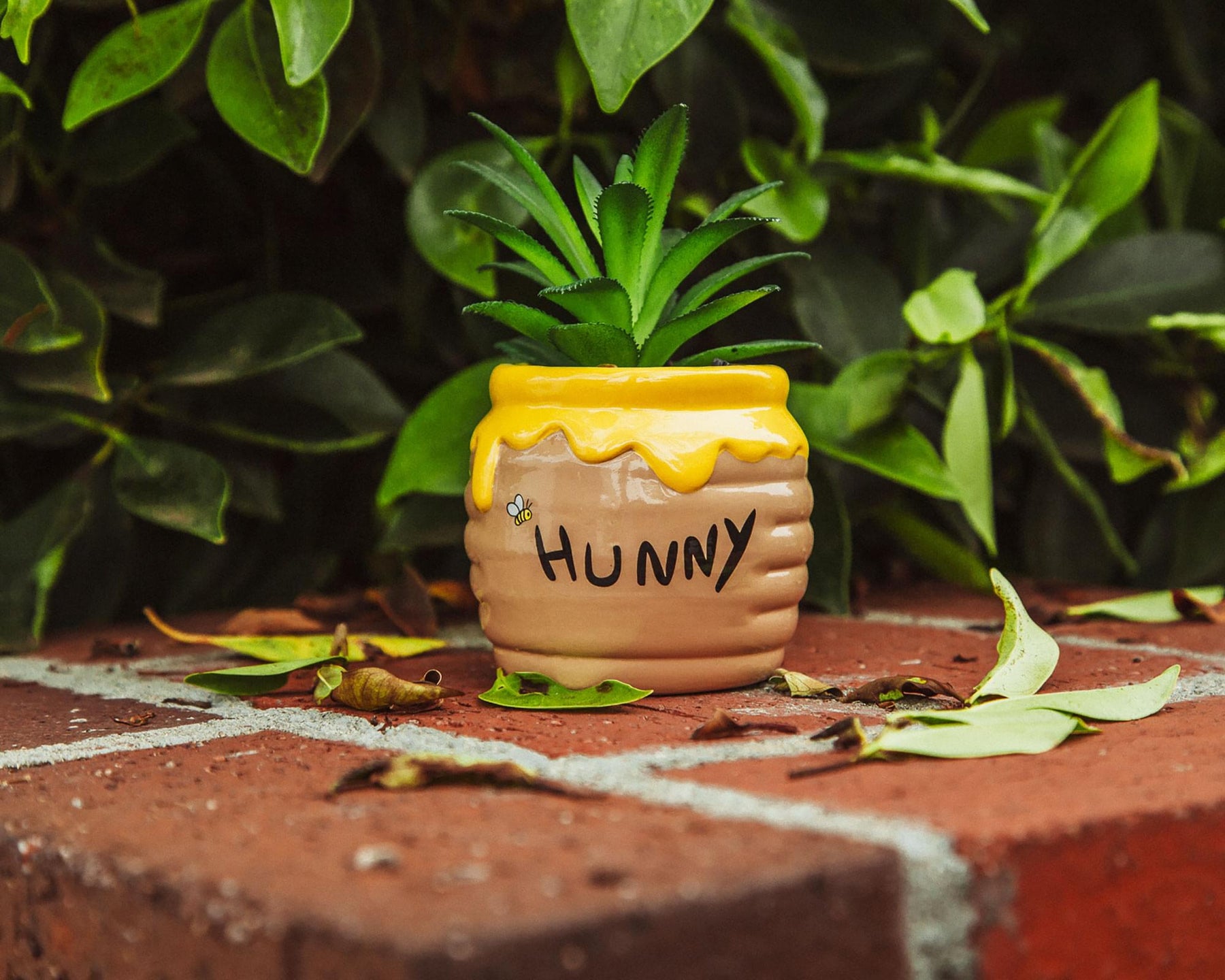 Disney Winnie The Pooh Hunny Pot Ceramic Mini Planter with Artificial Succulent