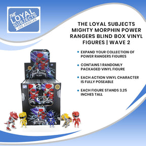 The Loyal Subjects Mighty Morphin Power Rangers Blind Box Vinyl Figures | Wave 2