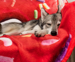 Sprinkle Donut Round Fleece Throw Blanket | 60 Inches