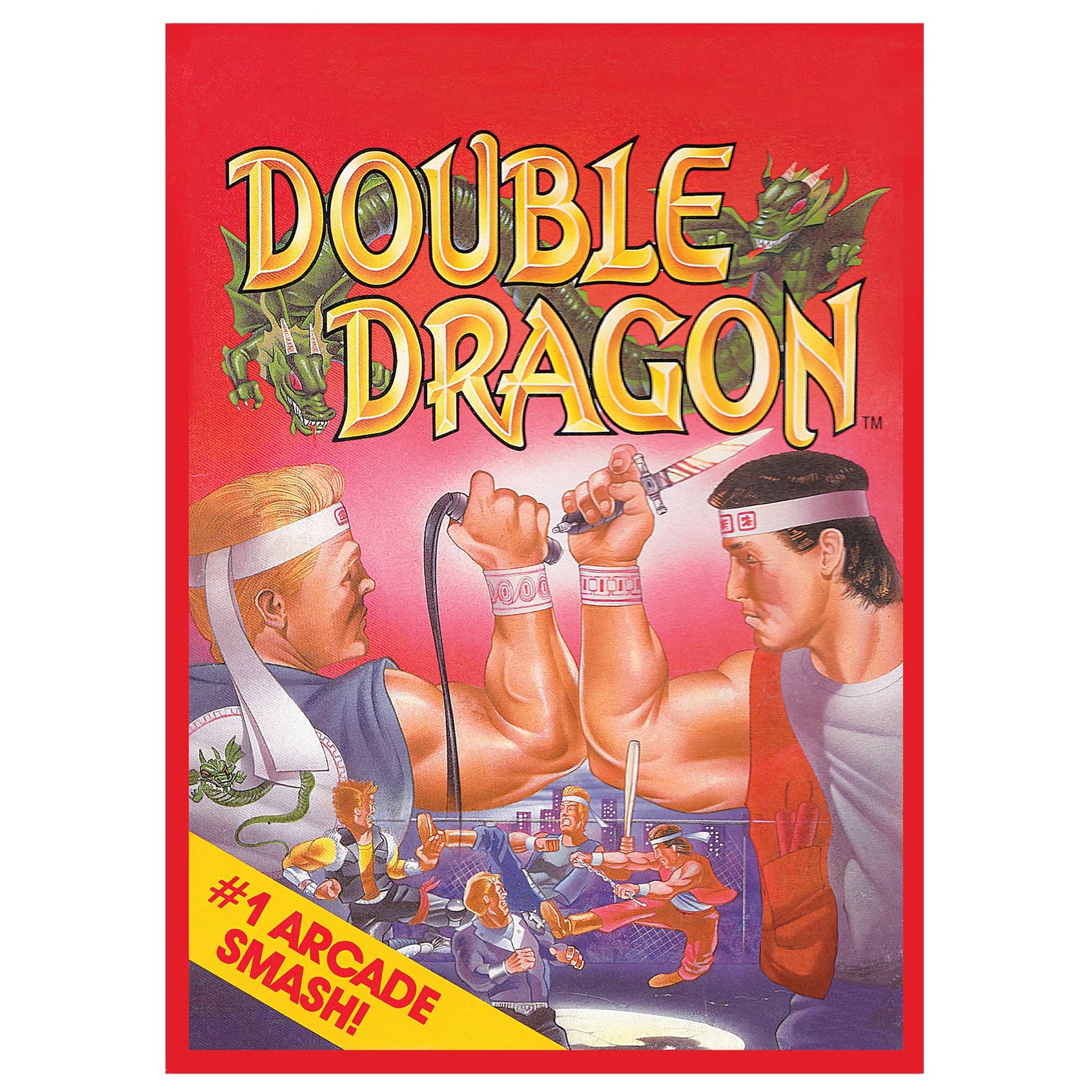 Double Dragon NES Cartridge 1000-Piece Jigsaw Puzzle | Toynk Exclusive