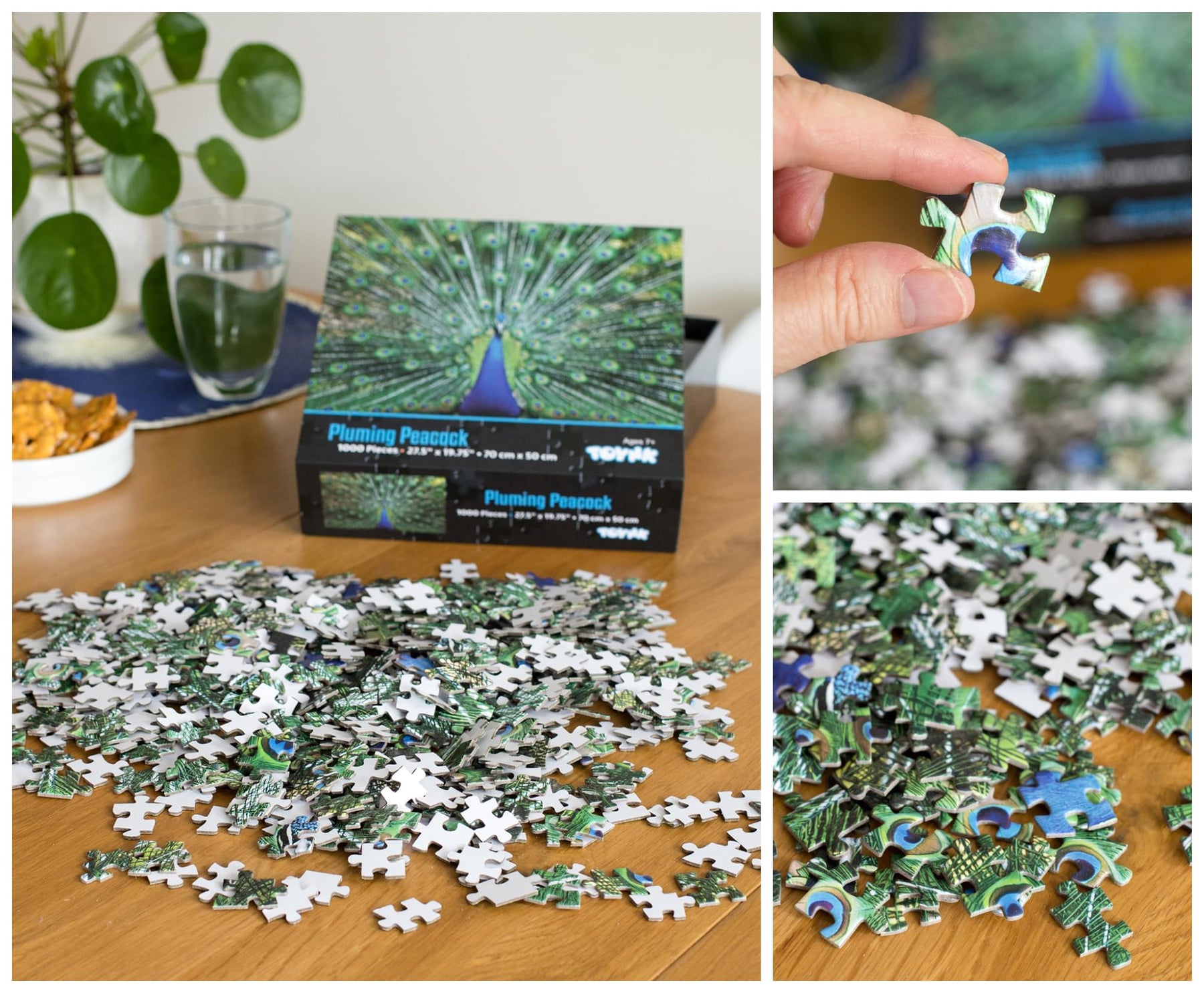 Peacock Plume Wild Zoo Animal 1000 Piece Jigsaw Puzzle