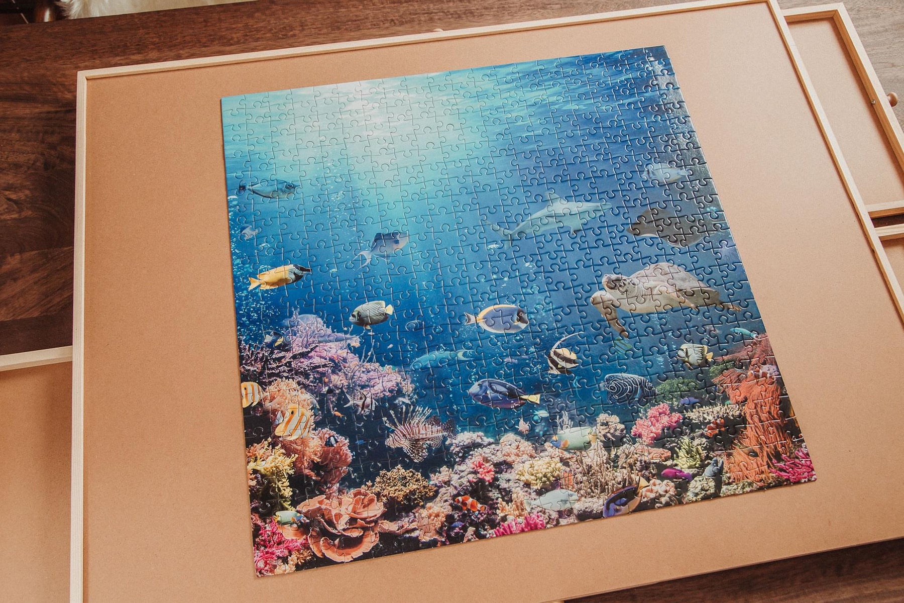 Under the Sea Coral Reef 500 Piece Jigsaw Puzzle