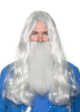Grey Wizard Wig and Beard Adult Costume Set | One Size