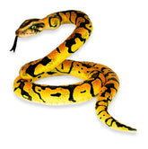 Real Planet Python Yellow 118 Inch Realistic Soft Plush