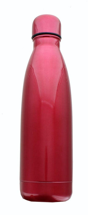 Harley Quinn Stainless Steel Vacuum Hot or Cold Insulated Water Bottle, 17oz