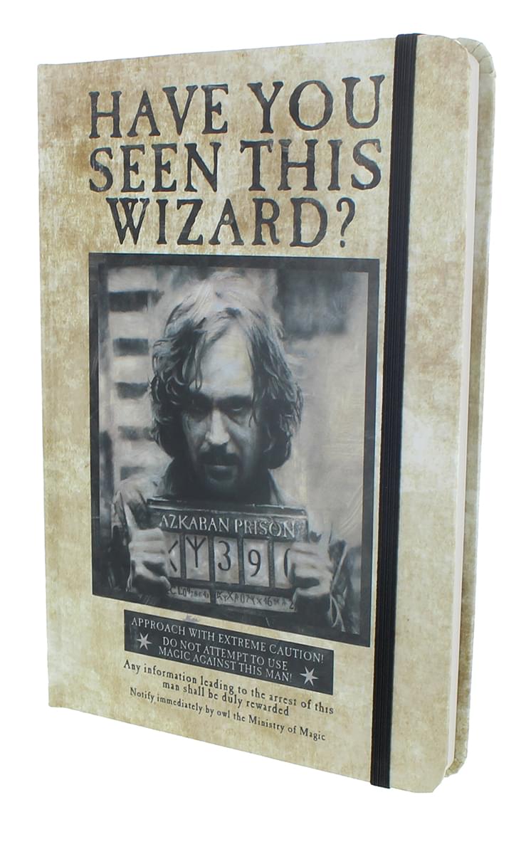 Harry Potter Wanted: Have You Seen This Wizard Journal