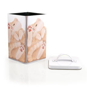 Cat In A Box Storage Tin | Metal Food Storage Container | Perfect For Cat Treats