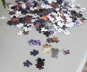 Discovery Channel Mars Rover Super 3D 500 Piece Jigsaw Puzzle